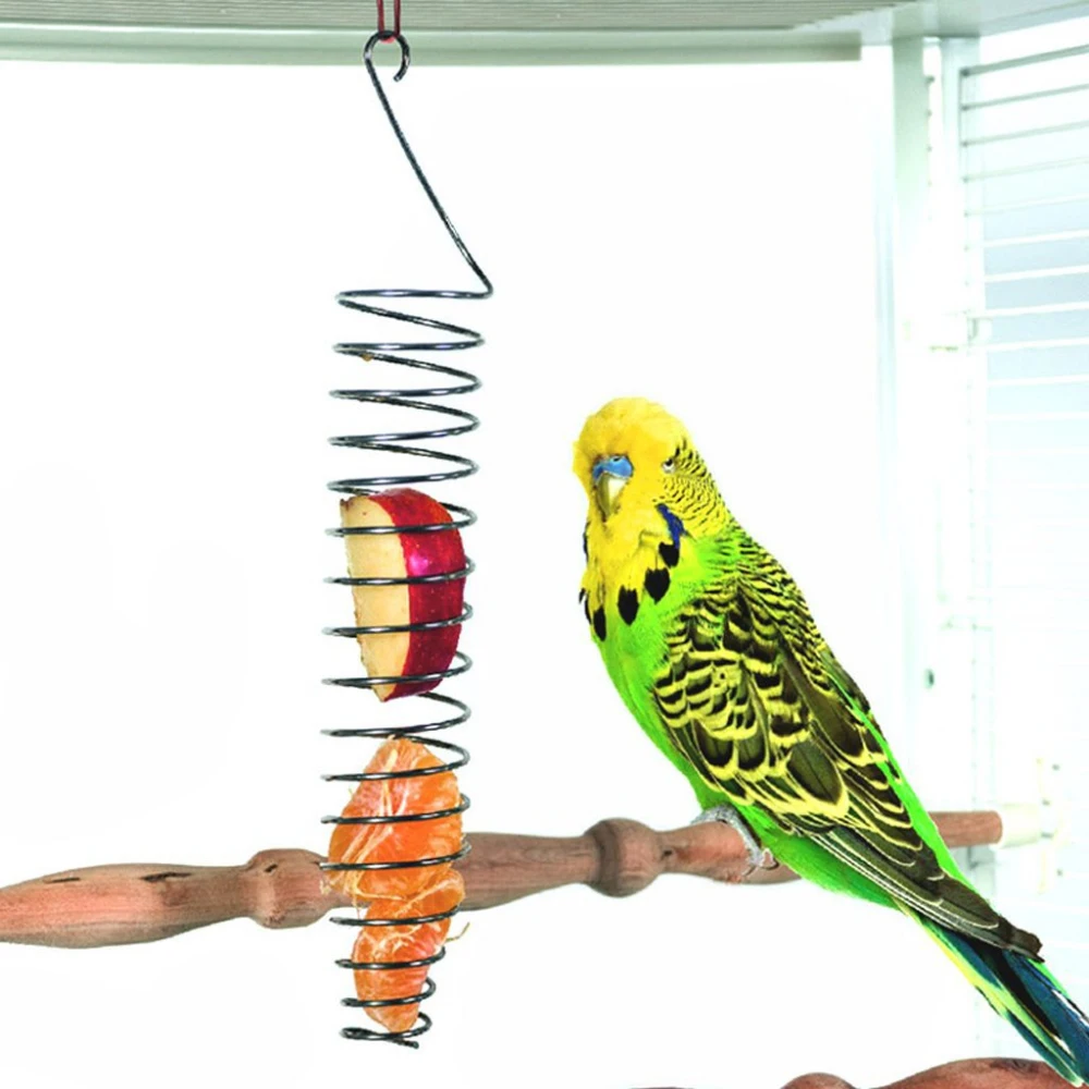 Papağan Su Meyve Sepeti Kuşlar Meyve Sebze Rafı Gıda Kolye Parakeet Paslanmaz Çelik Besleme Cihazı Kuş Kafesi Besleyici
