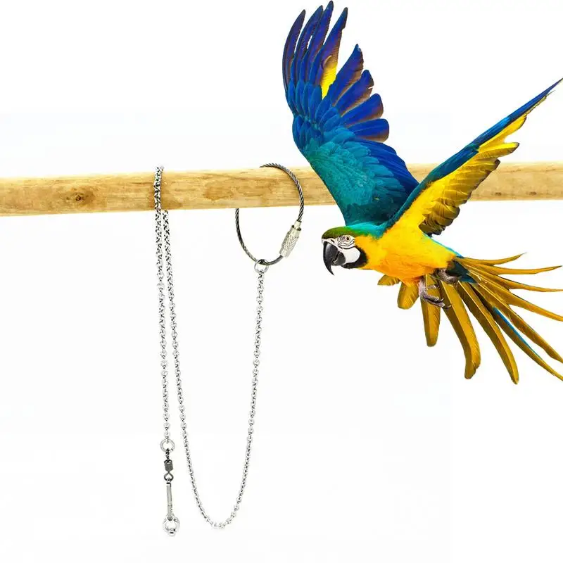 Papağan Ayak Halka Halhal Paslanmaz Çelik Kuş Zinciri Kaplan Cilt Sığırcık Şakayık Papağanının Standı Açık Ayak Halka Eğitim Malzemeleri
