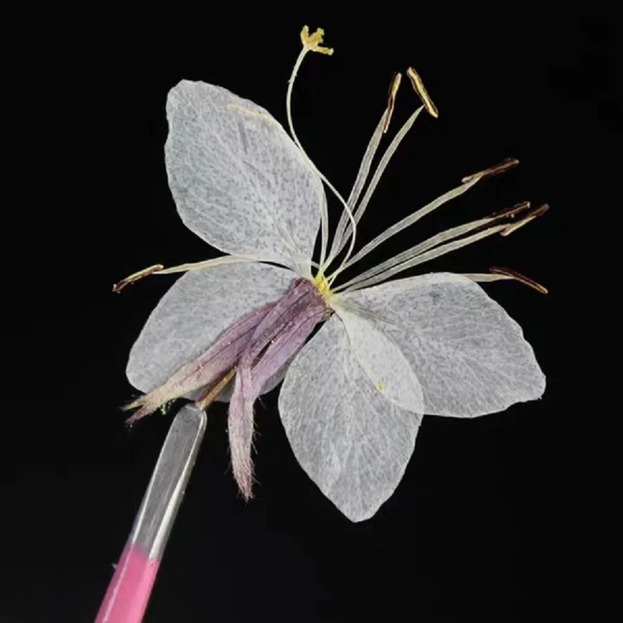 60 adet Preslenmiş Kurutulmuş Kelebek Çiçek Bitki Herbaryum Takı Fotoğraf Çerçevesi telefon kılıfı İmi DIY