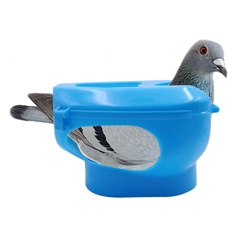 1 adet Plastik Yarış Güvercin Tutucu Kolay Kuş Sabit Çerçeve Raf İlaç Besleyici Güvercin Aşılama Besleme Sabit Kuş Esaret Araçları