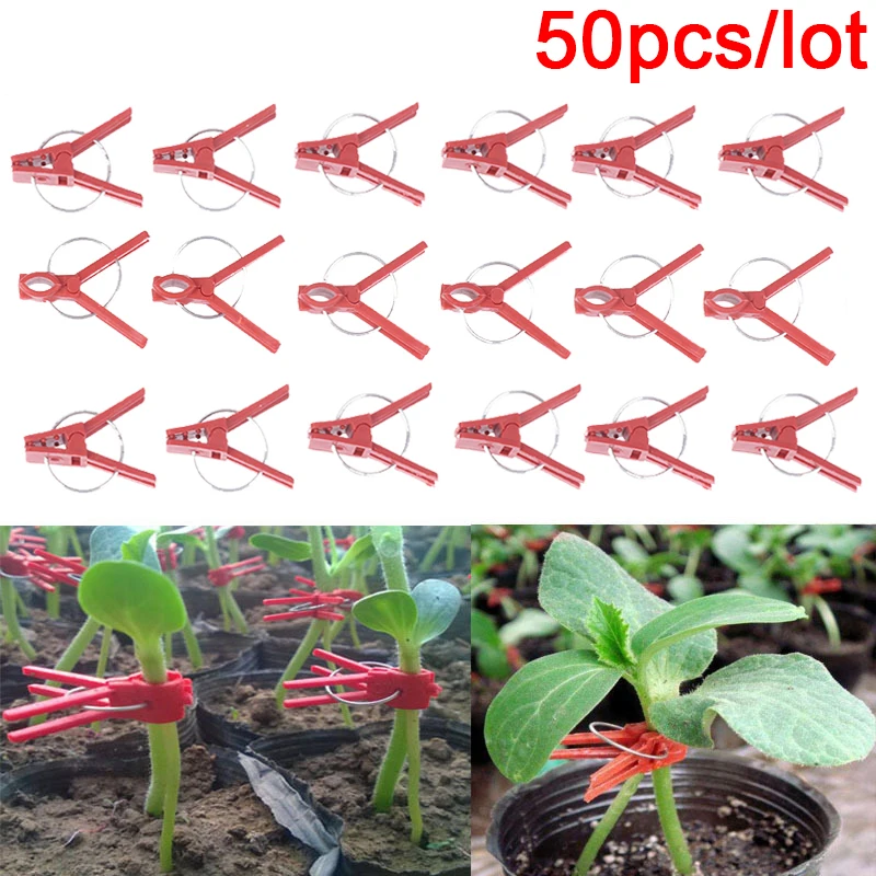50 Adet Plastik Aşılama Klipleri Bahçe Bitki Desteği Yuvarlak Ağız Düz Ağız Anti-fall Kelepçe Sebze Çiçekler Çalılar
