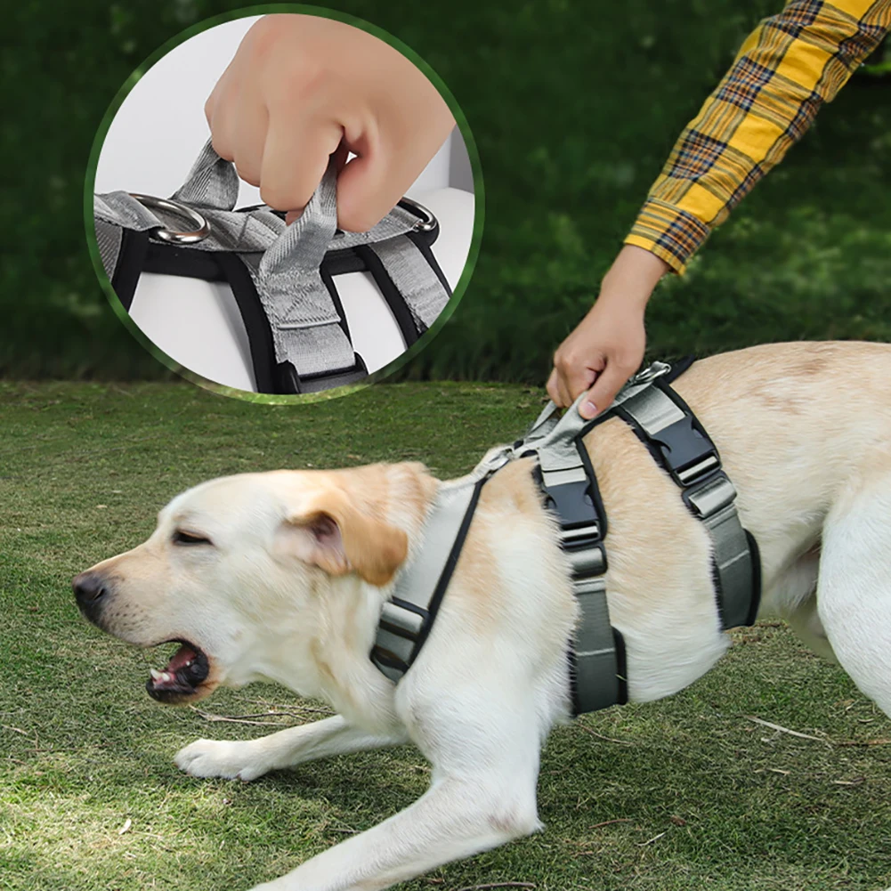 Köpek Koşum Köpek Yelek Tasma Klipleri İle Kolay kontrol kolu evcil hayvan koşumu Orta Büyük Köpekler İçin Eğitim Yürüyüş Pet Malzemeleri